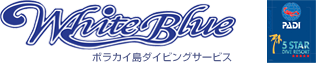 logo.png