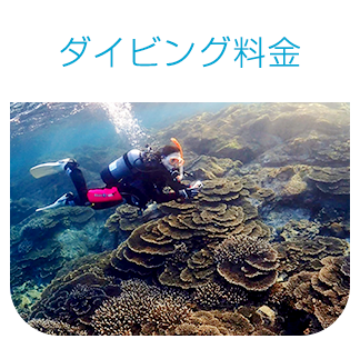 家族で始めるダイビング